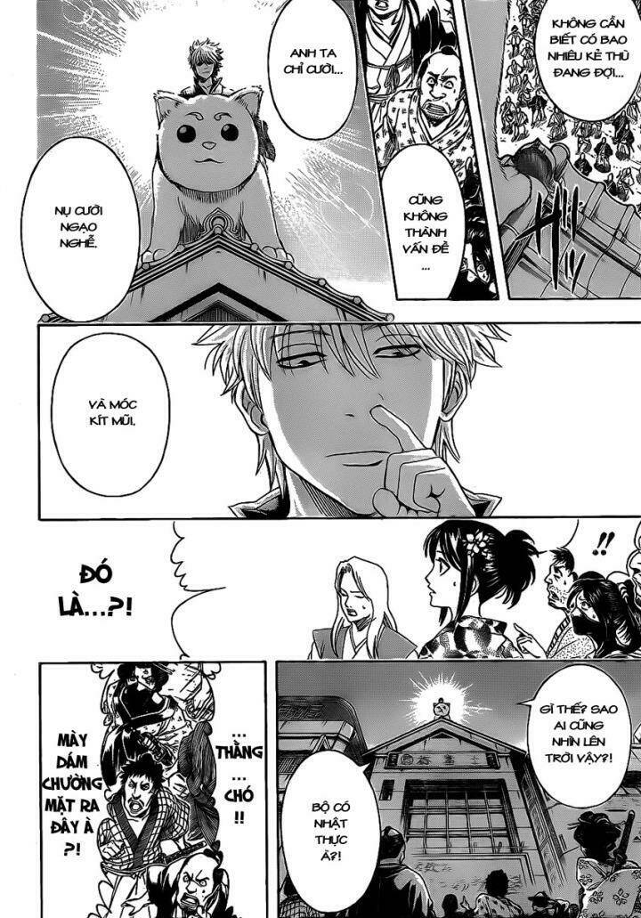 gintama - linh hồn bạc chapter 376 13