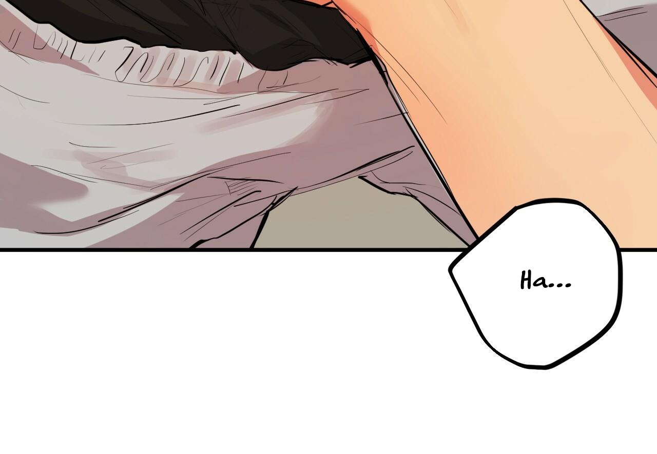 đàn thỏ của habibi chapter 29 45