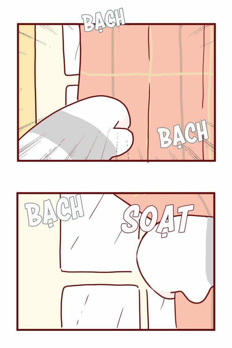 saphie: chú mèo một mắt chapter 13 5