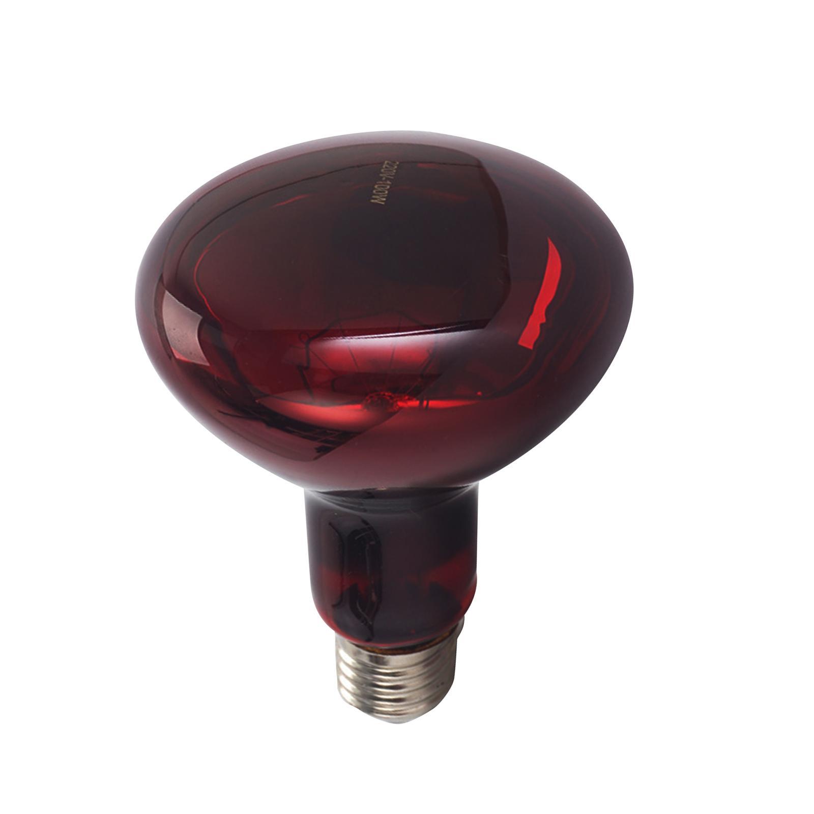 E27 Reptile Light Bulb Heating Lamp Hedgehogs Pet Supplies 100W Warm