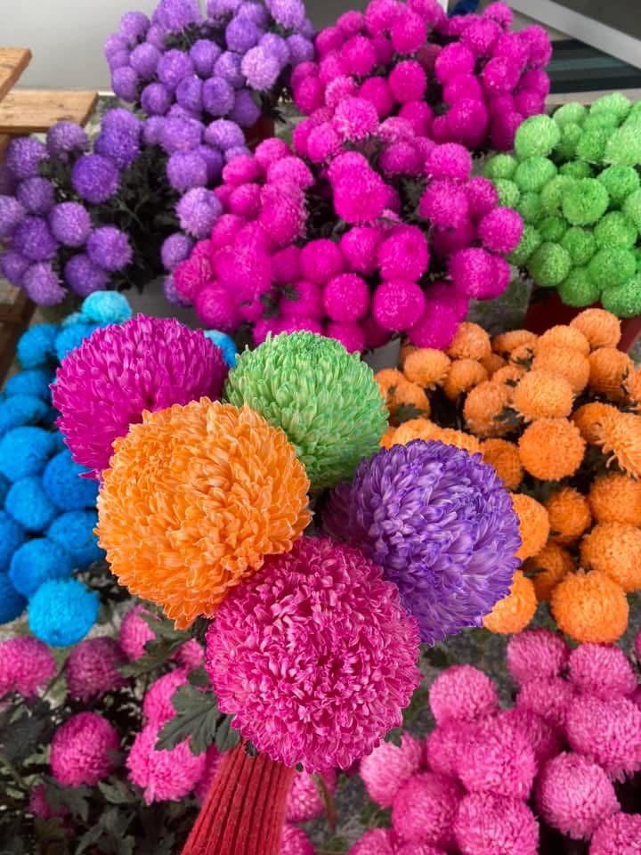 Bột nhuộm hoa màu Hồng Sen nhập khẩu Hiệu Premium Color (1 hủ pha 10L đến 12L nước màu nhuộm chuẩn) an toàn và chuyên nghiệp tại shop hoa tươi