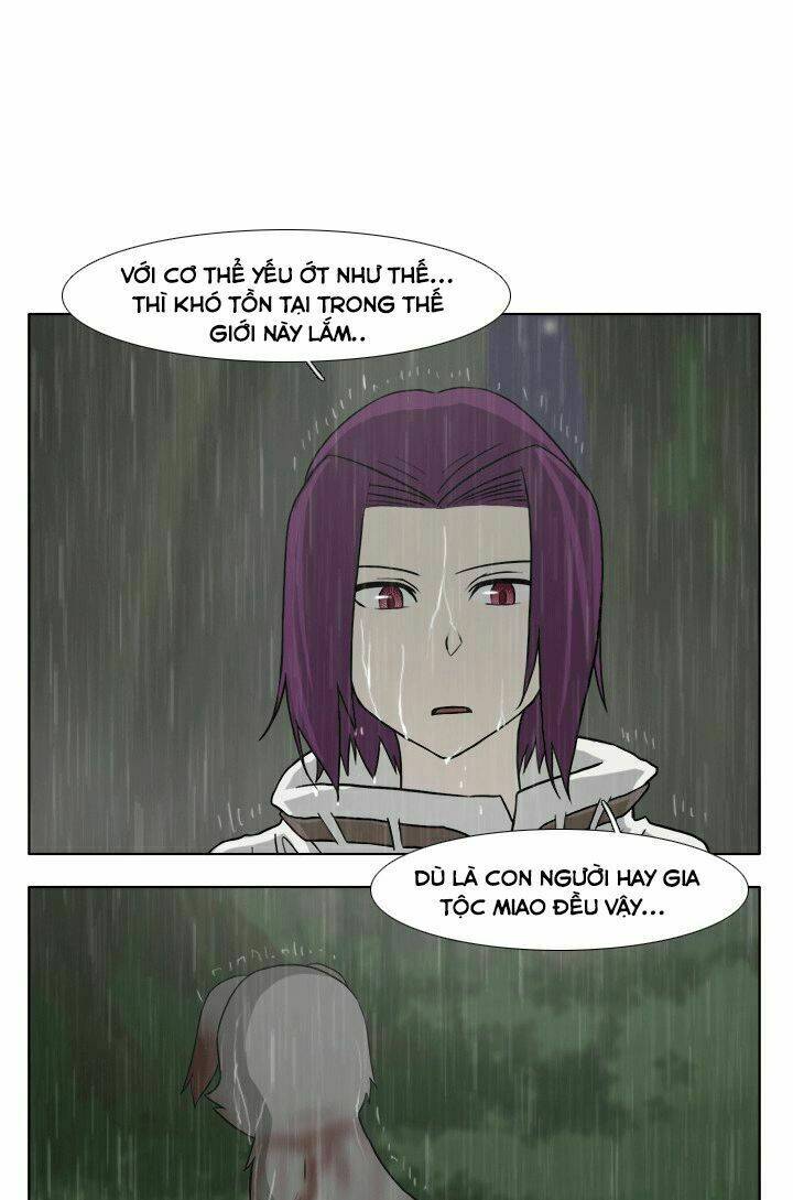 m. m. g. chapter 12 31