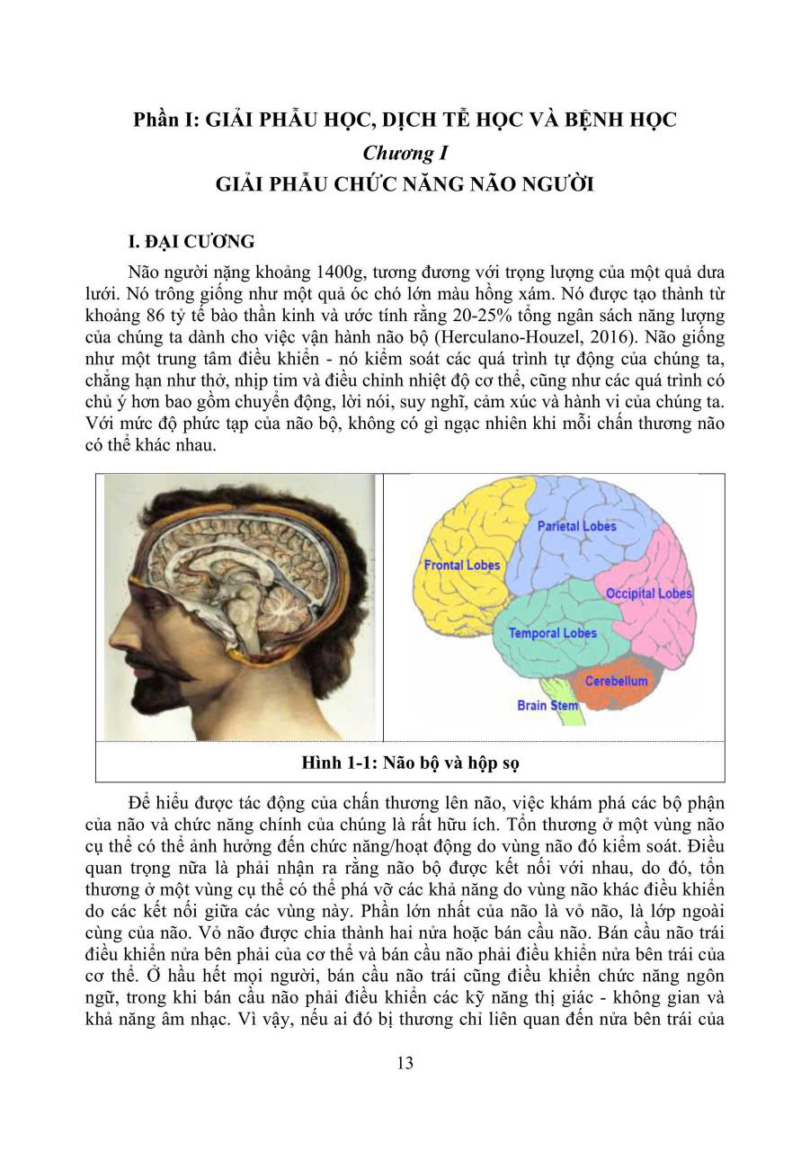 Sách - PHỤC HỒI CHỨC NĂNG CHẤN THƯƠNG NÃO