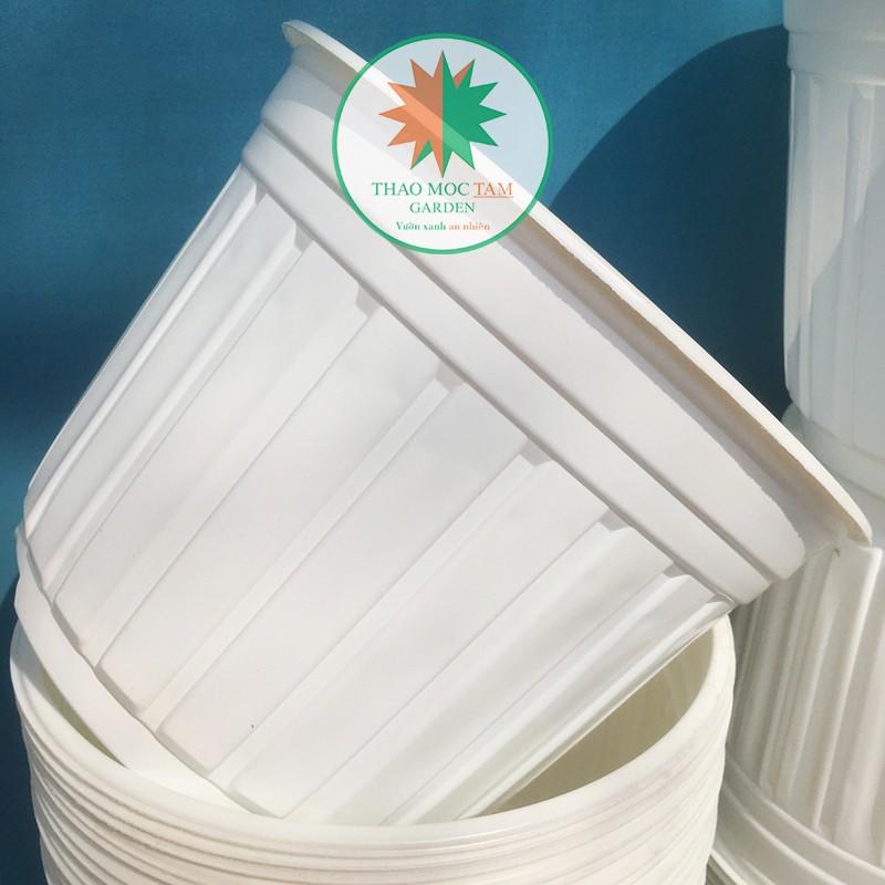 5c Chậu nhựa trồng cây 26x20cm - Chậu nhựa trồng hoa, phù hợp các dòng hoa bụi lớn, chậu trồng hoa hồng
