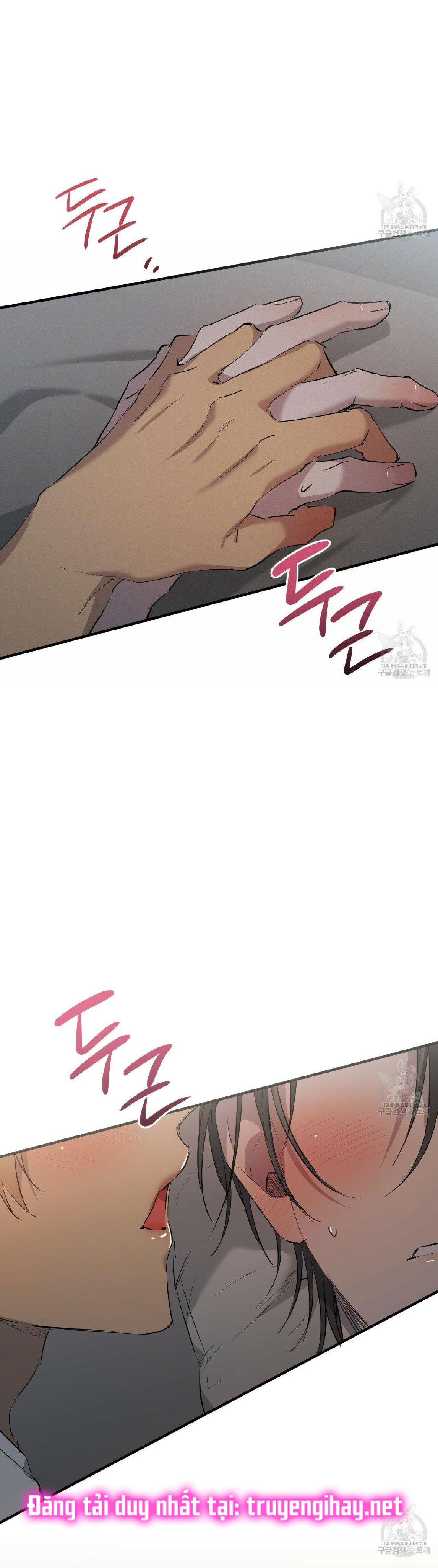 những chú thỏ của hapypy chapter 52.2 8