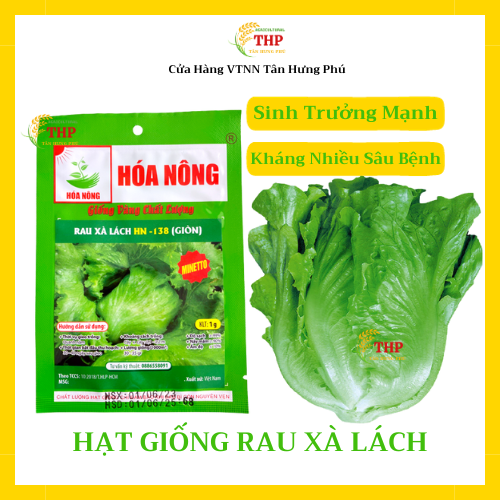 Hạt giống Xà Lách Giòn HN-138 | Hạt Giống | gói 1gr