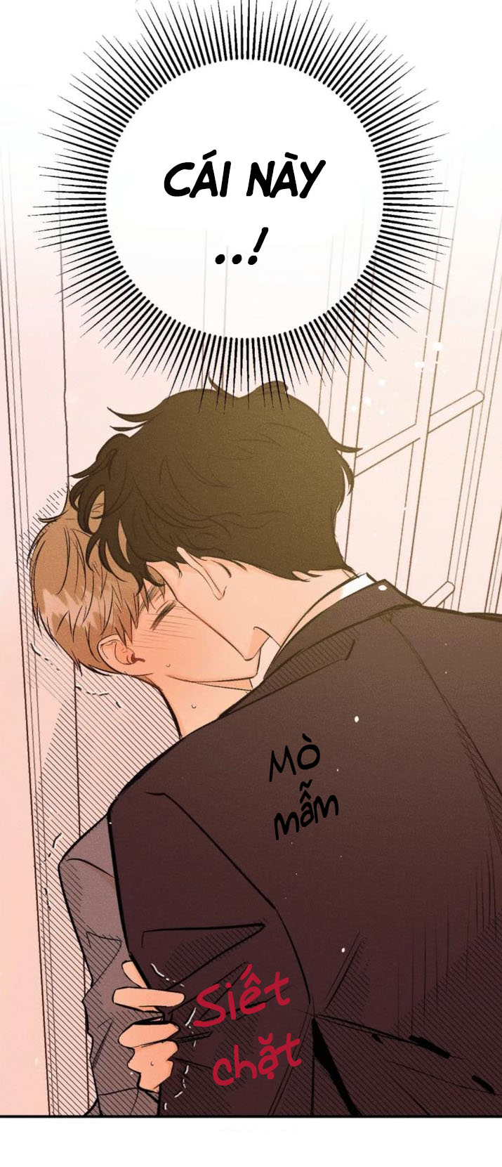 punk dunk funk chapter 2 4