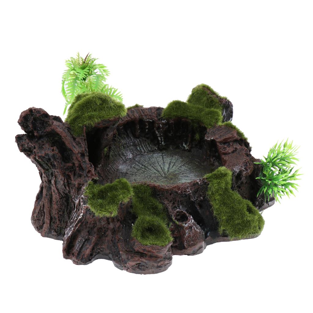 Nhựa Rock Bowl Bát Thức ăn Nước Cho đĩa Bể Chứa Terrarium