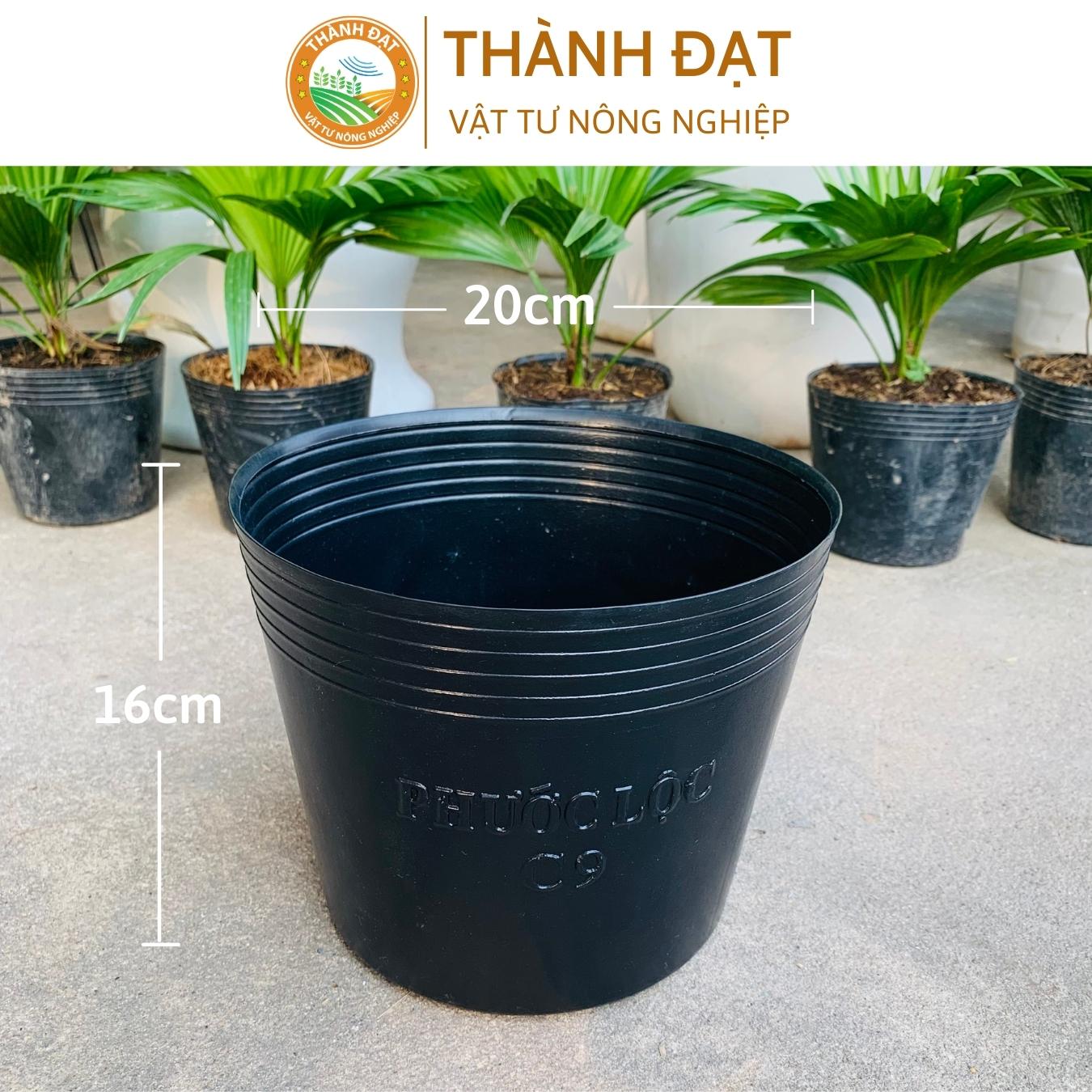 Bầu ươm cây cứng c9 hàng dày