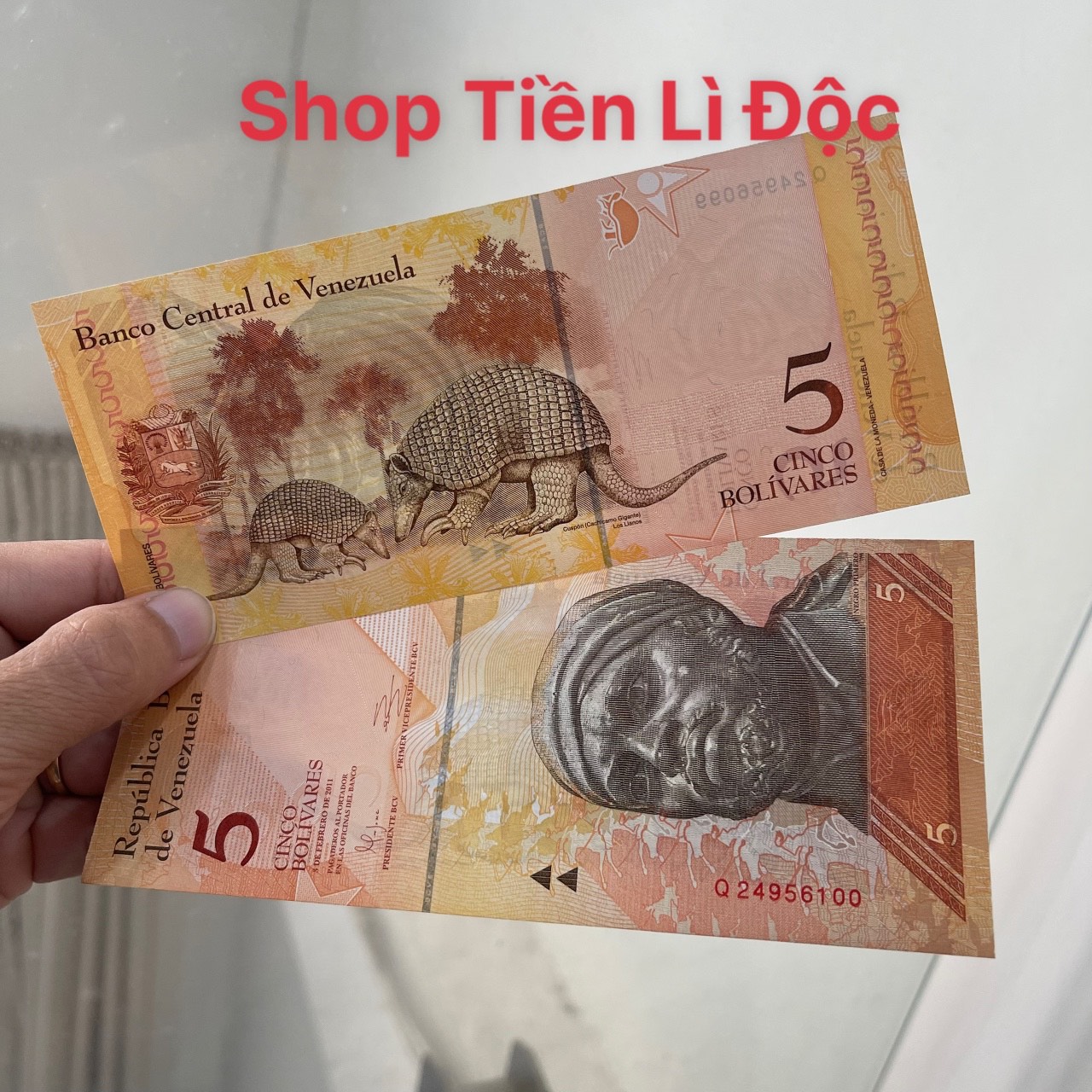 Tờ Tiền Venezuela 5 Bolivares Mới 100% , Thích Hợp Sưu Tầm, Lì Xì, Biếu Tặng