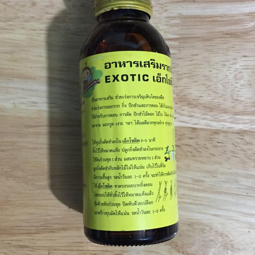 Siêu kích rễ Thái Lan exotic 100ml