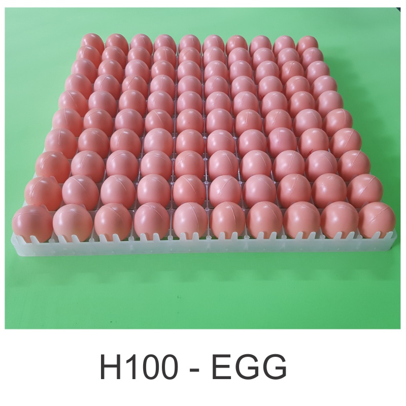 Khay nhựa ấp trứng gà - Nhựa cao cấp nguyên khối