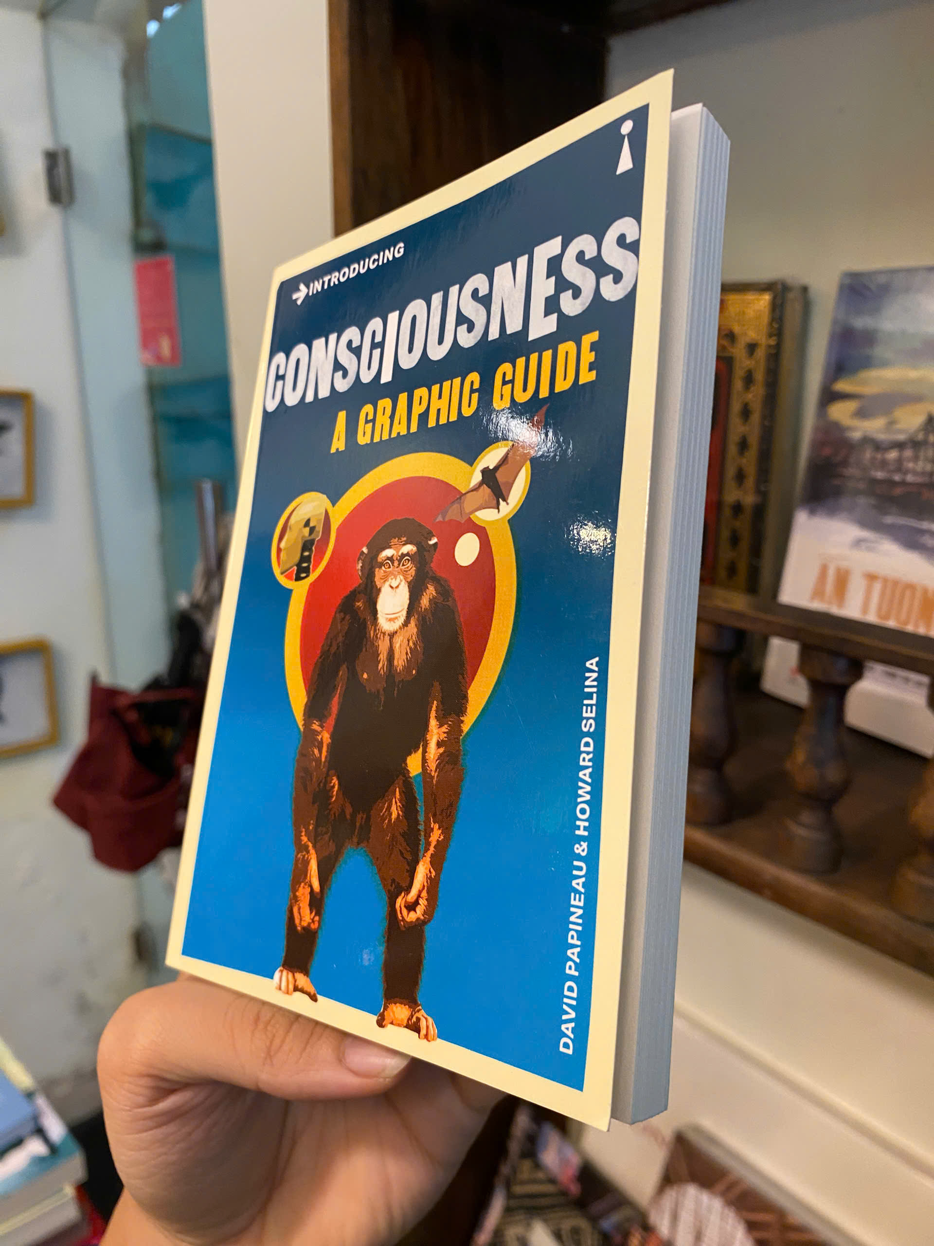 Sách - Introducing Consciousness: A Graphic Guide by David Papineau | Philosophy / Nonfiction