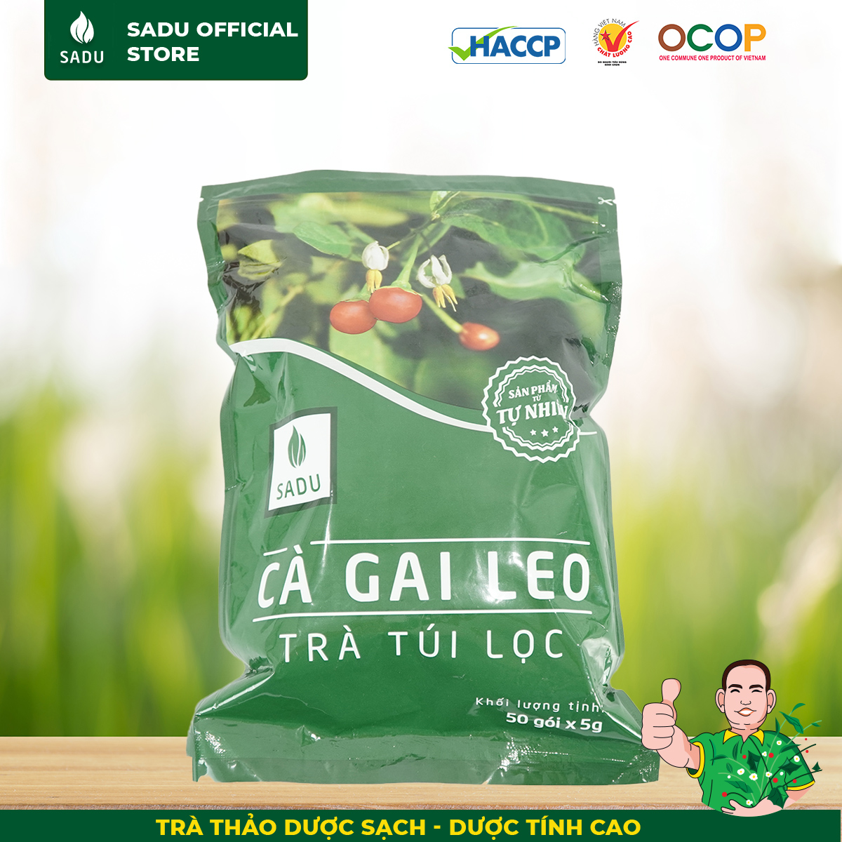 Cà gai leo sadu bảo vệ gan, tăng cường chức năng gan 250g