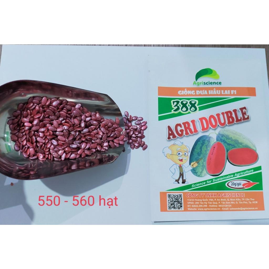 HẠT GIỐNG GIỐNG DƯA HẤU LAI F1 - AGRI DOUBLE 388