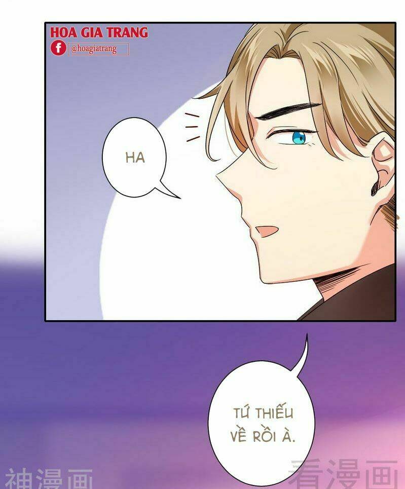 phục thù thiếu gia tiểu điềm thê chapter 66 3