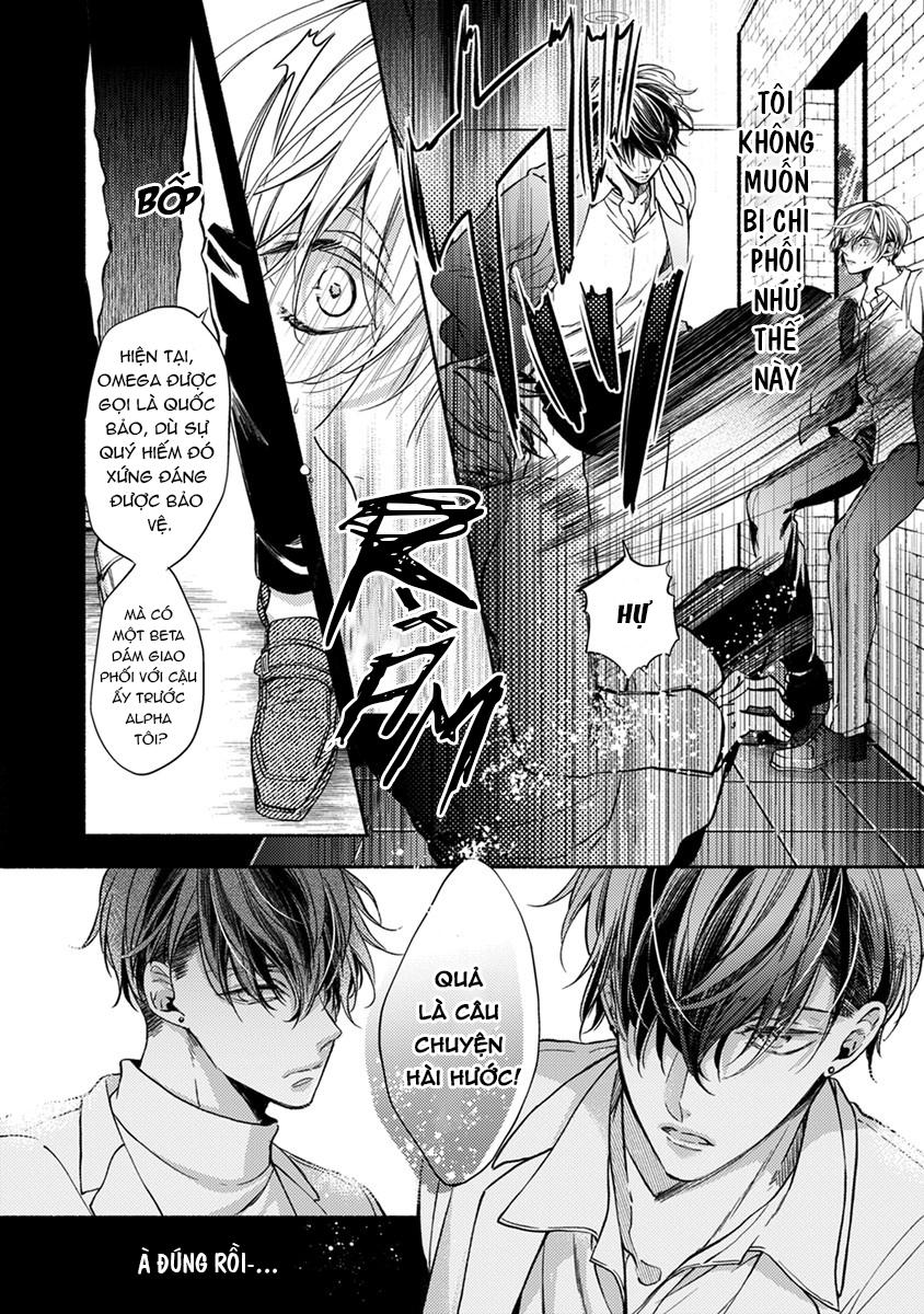 omega giả vờ kiên cường đó là bạn tình của tôi chapter 1 6