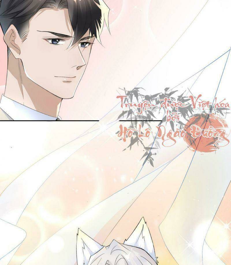 ảnh đế yêu hồ chapter 7 6