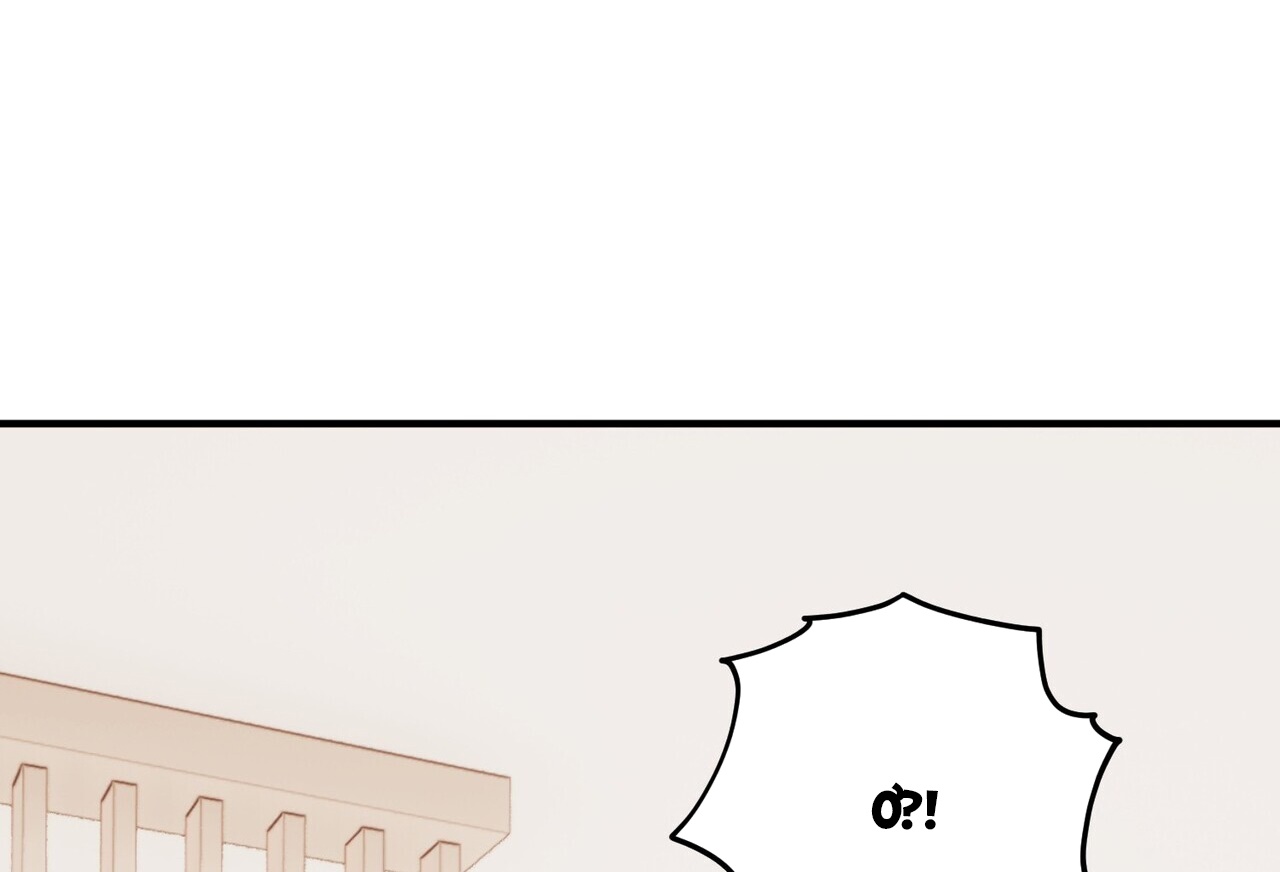 chàng dâu nhà họ kang chapter 40 126