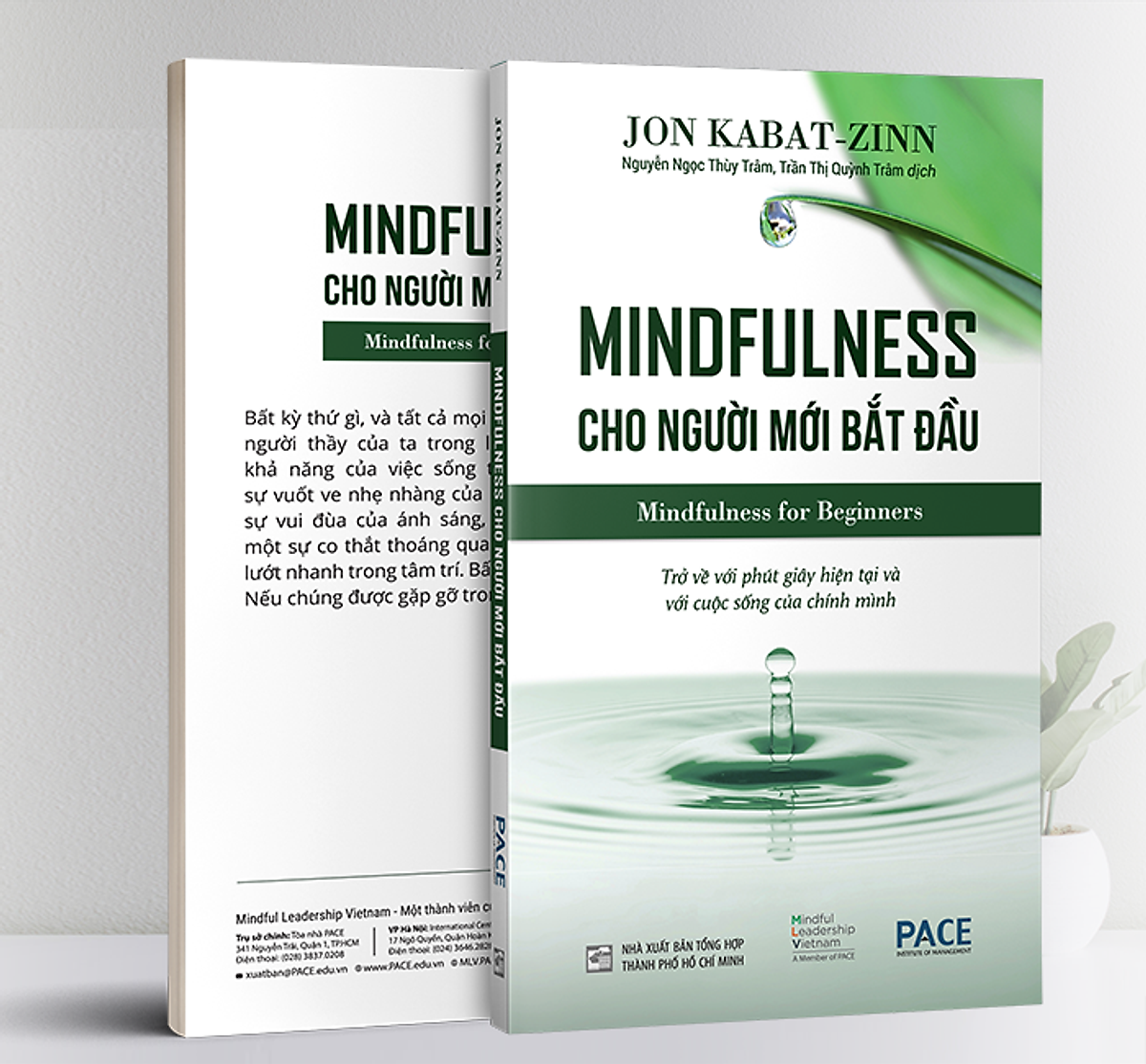 Mindfulness Cho Người Mới Bắt Đầu ( Tặng sổ tay xương rồng )