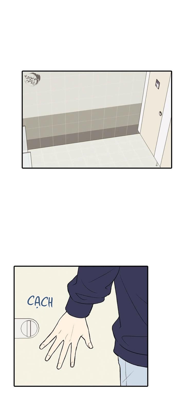 yêu đương chốn học đường chapter 7 35