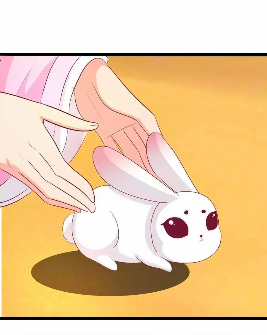 thỏ yêu tiểu vương phi chapter 86 19