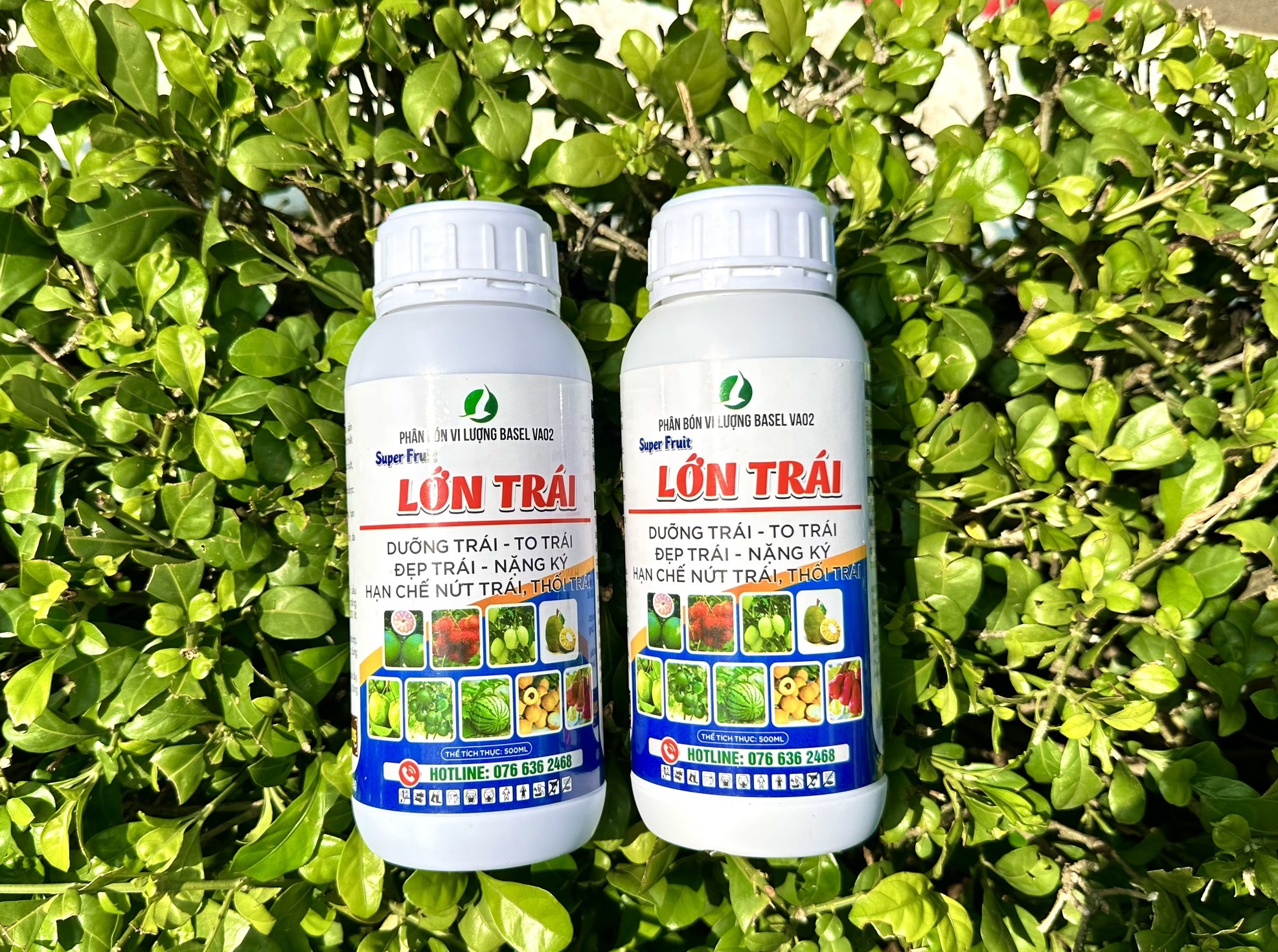 PHÂN BÓN TO TRÁI SUPER FRUIT 500ML - GIÚP TRÁI LỚN NHANH, LÊN MÀU, BÓNG ĐẸP