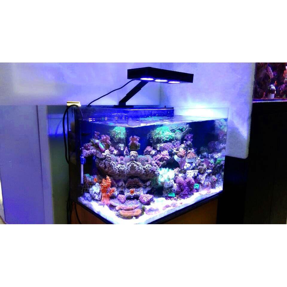 Đèn Aqua Knight M029 cho hồ cá biển - Đèn M029 chuyên dụng cho hồ nước mặn - phụ kiện cá biển - shopleo