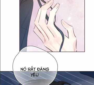 nỗi buồn của hoa cẩm tú cầu chapter 34 30