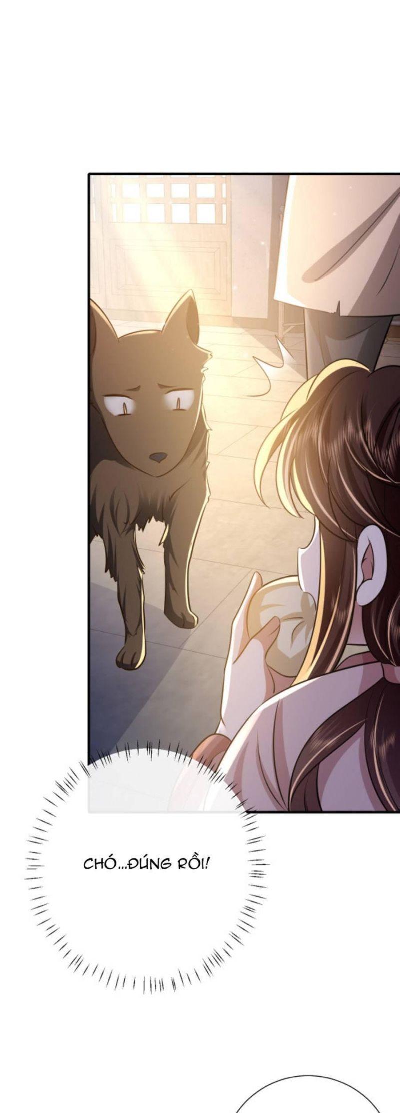 phương thức sinh tồn của công chúa pháo hôi chapter 61 24