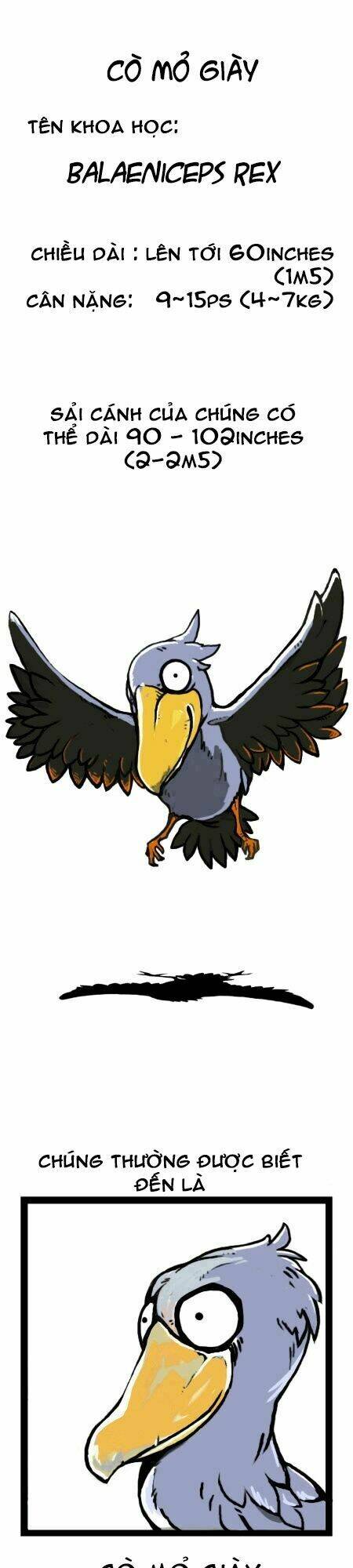 earth, human, and animal chapter 14 7