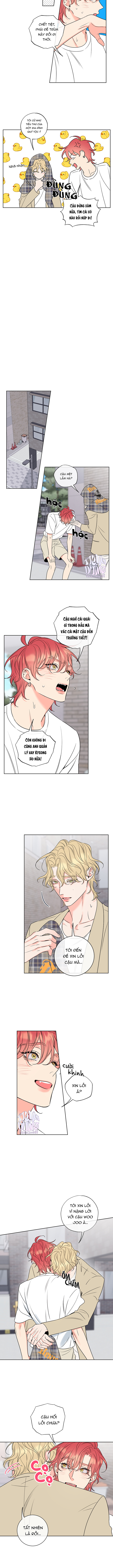 rắc rối mật ngọt chapter 20 4