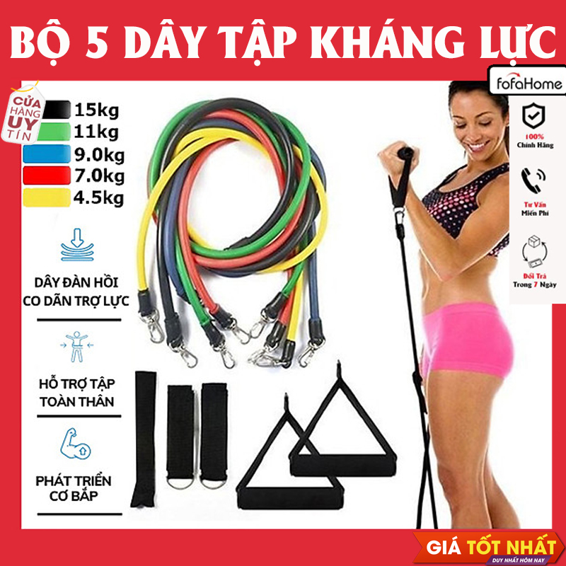 Dây Ngũ Sắc Tập Gym, Bộ 5 Dây Đàn Hồi Kháng Lực Tập Full Body, Dụng Cụ Tập Thể Hình Tại Nhà Đa Năng