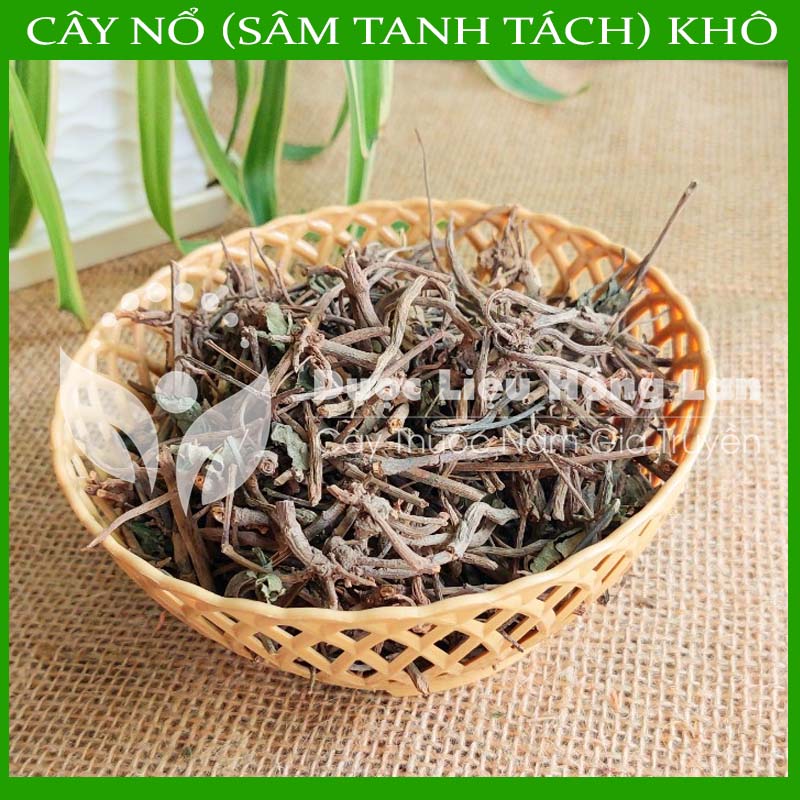 Cây Nổ khô sạch 500gram