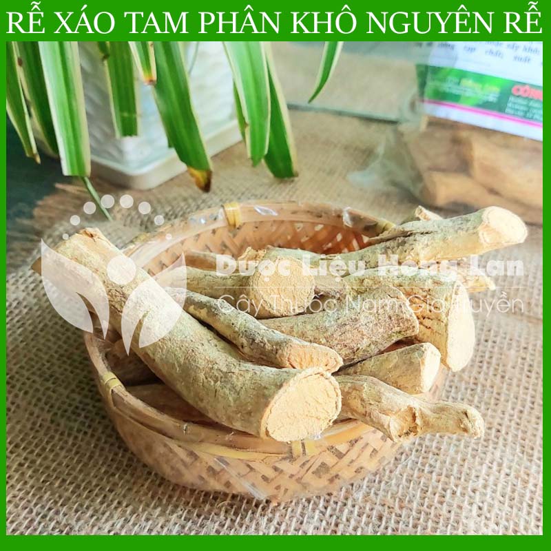 500G Rễ Xáo Tam Phân nguyên rễ khô nguyên chất loại 1