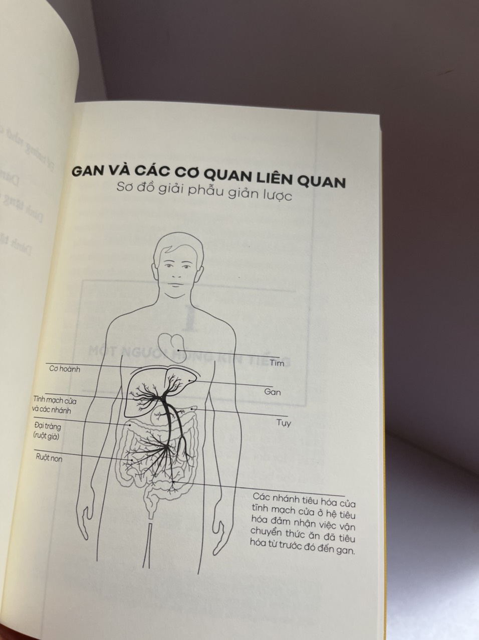 GAN ƠI LÀ GAN - Gabriel Perlemuter – Huy Minh dịch – Nhã Nam