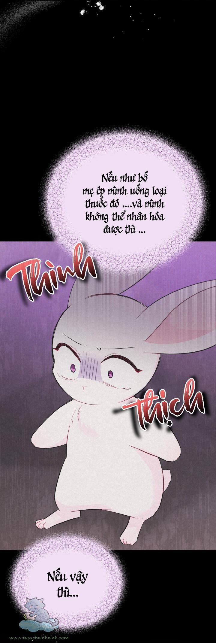 quan hệ cộng sinh giữa báo đen và thỏ trắng chapter 58 54