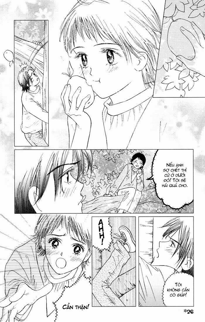 gapz garden chapter 17 4