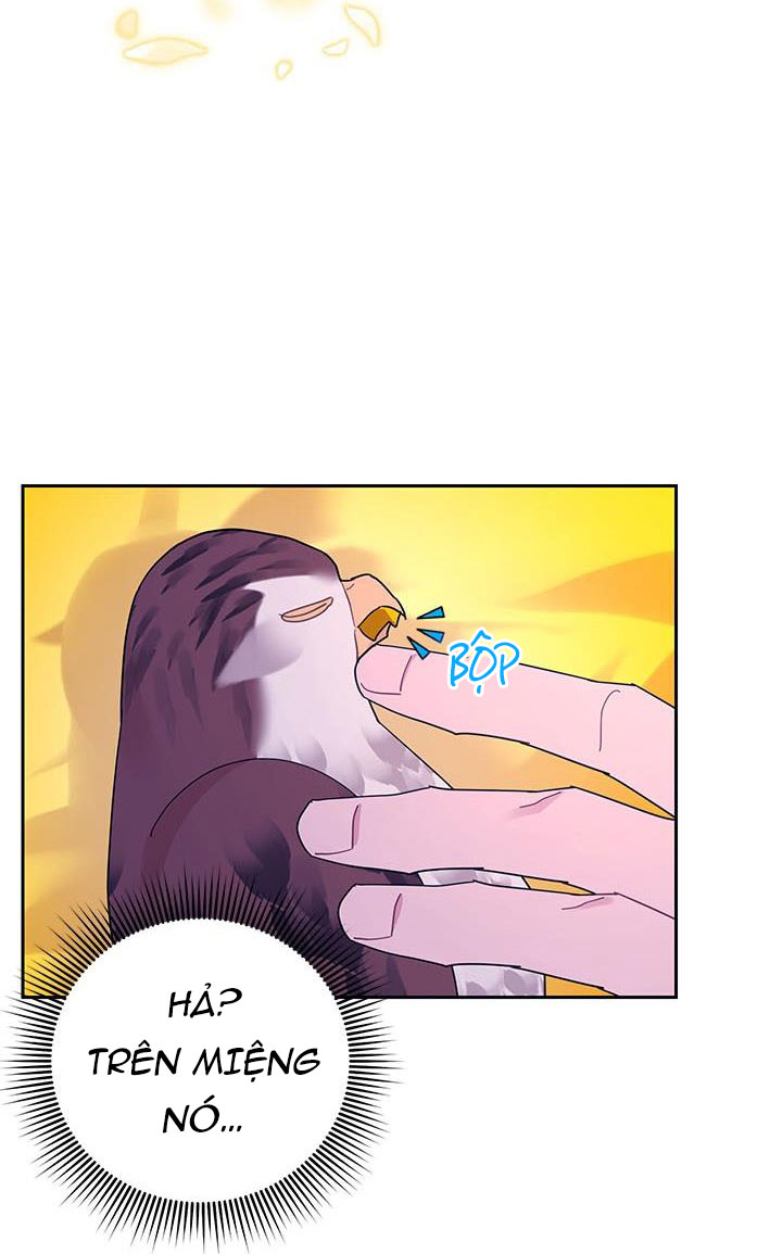 công chúa của loài chim chapter 38.2 16