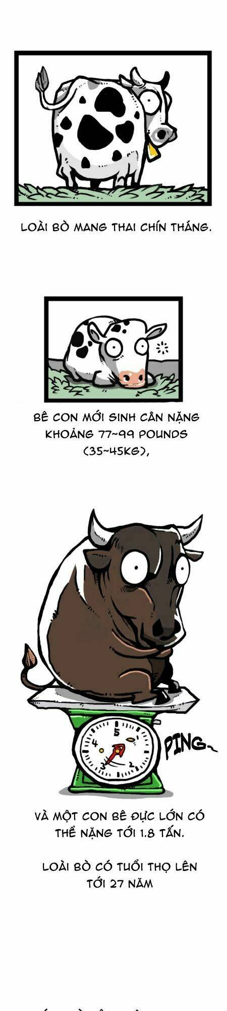 earth, human, and animal chapter 24 15