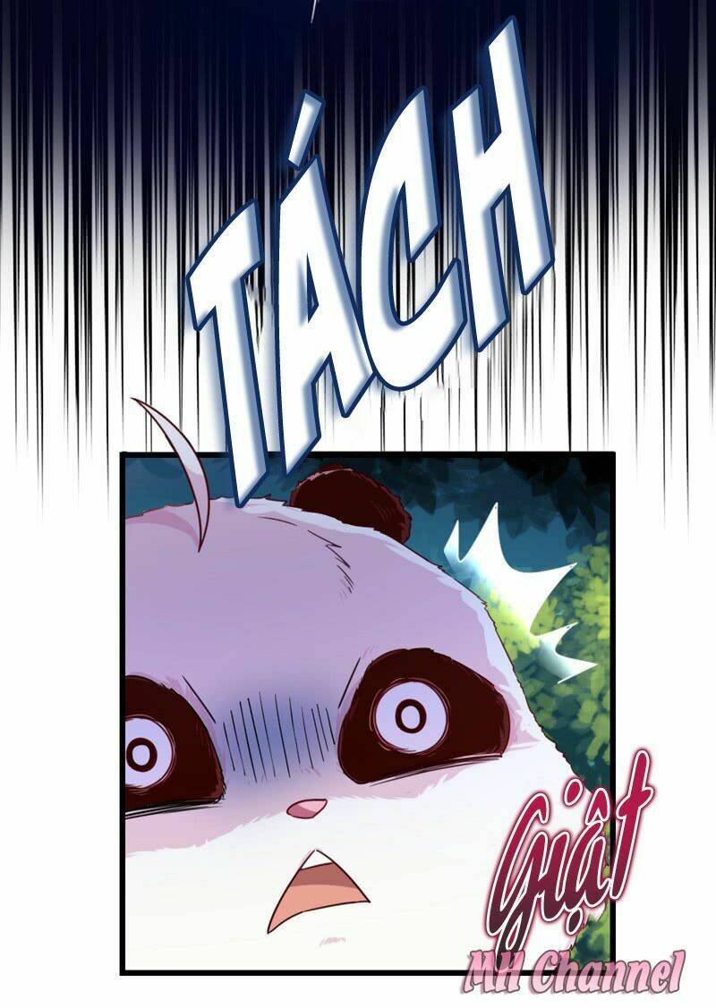 thiên thần gấu trúc muốn được ôm chapter 3 19