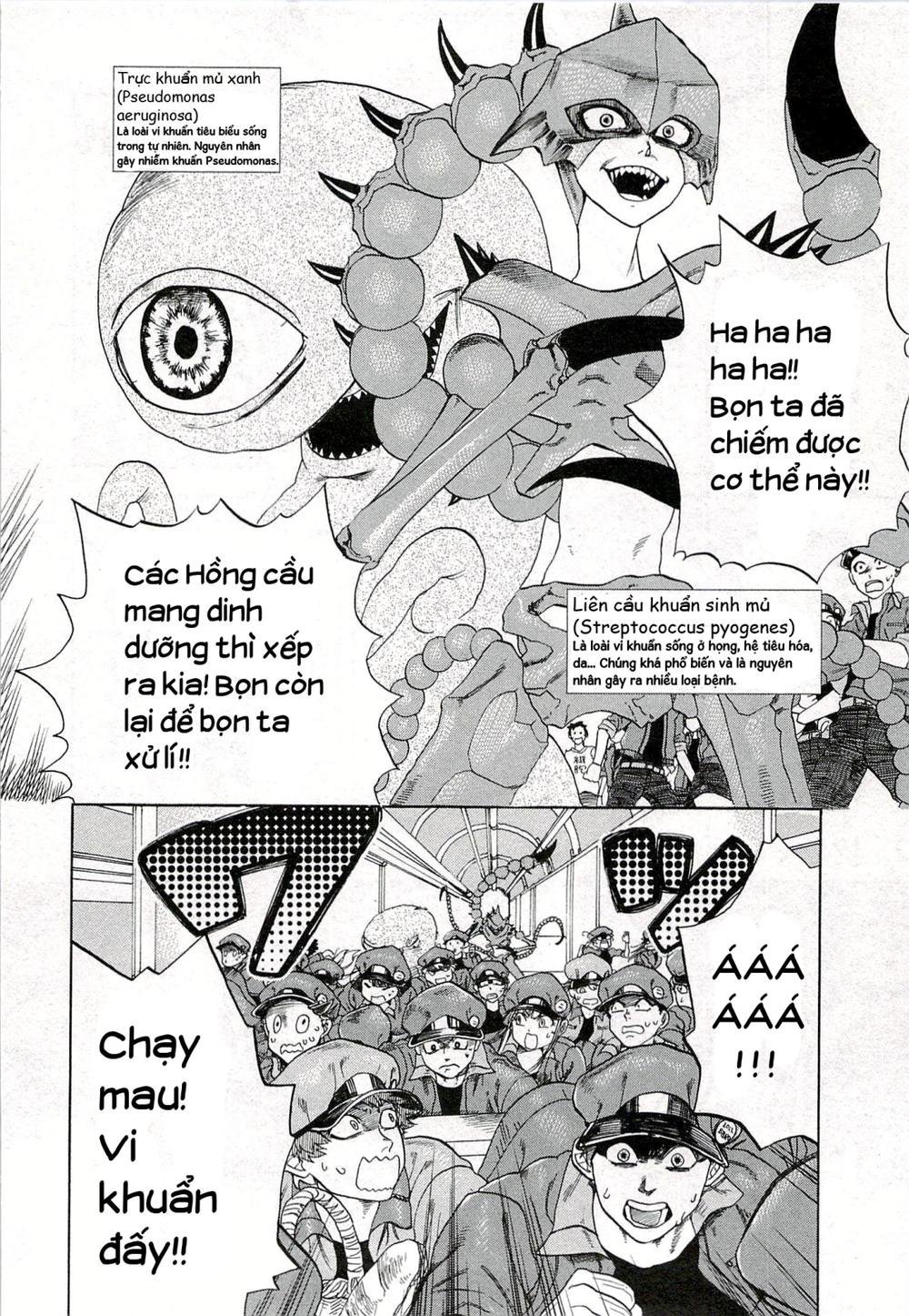 hataraku saibou! chapter 4 15