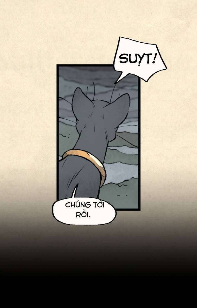 nơi mà ngôi sao băng rơi xuống, hãy đợi ở đó chapter 26 43