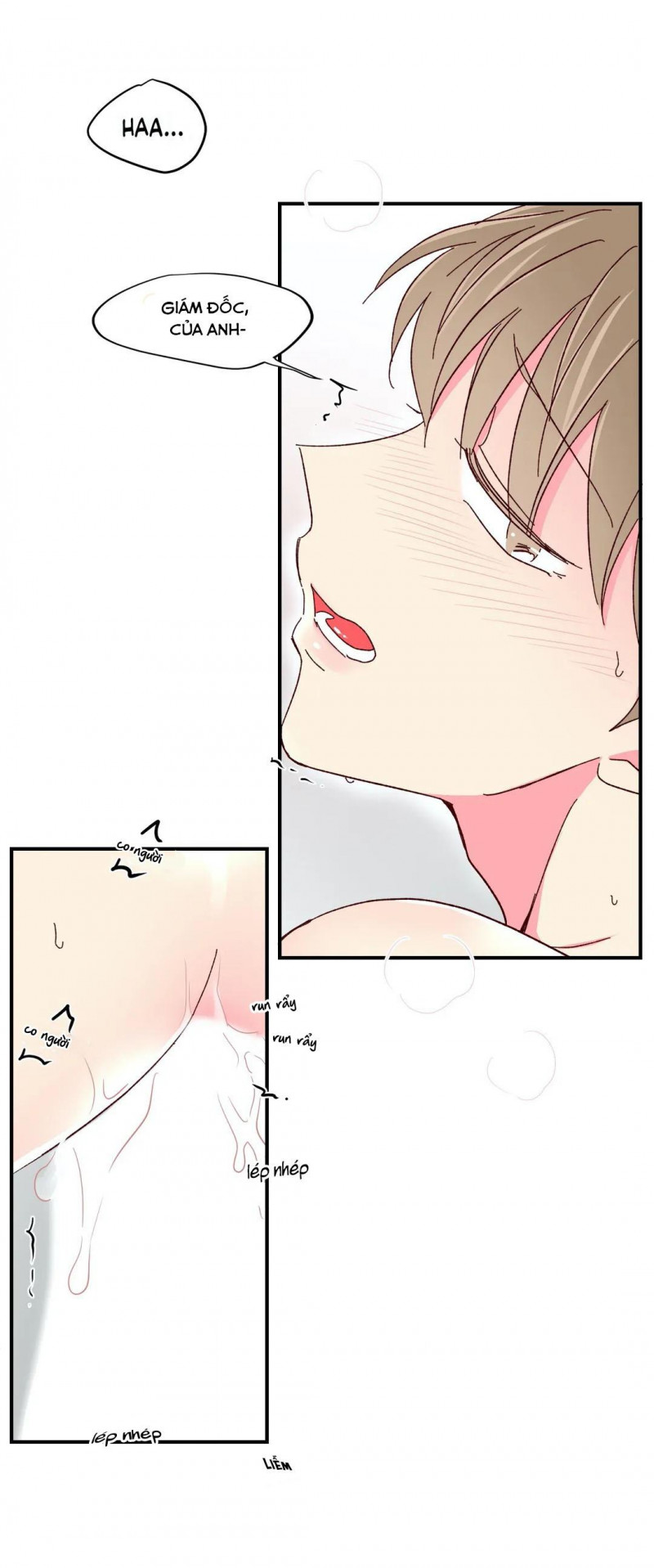món tráng miệng của sếp tổng chapter 48 9