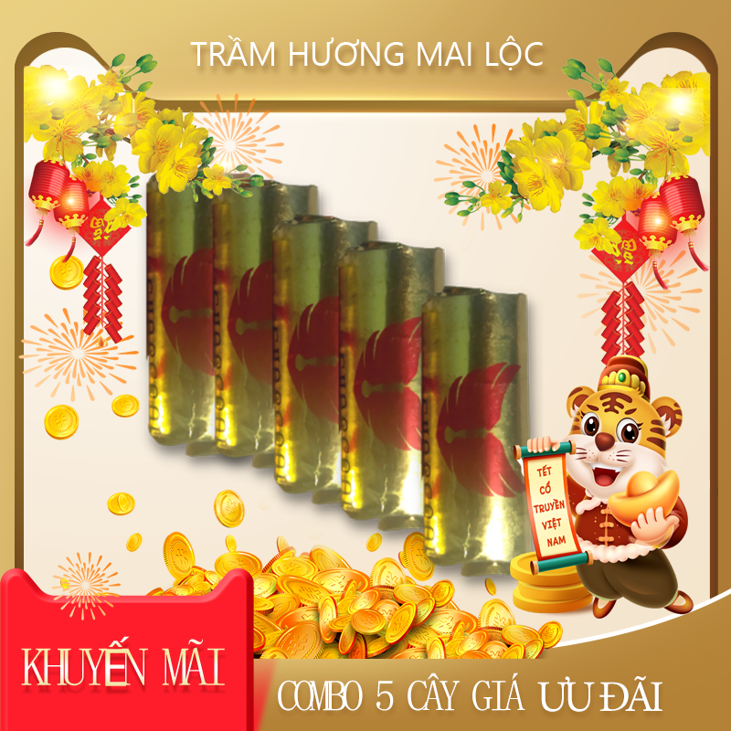 Than đốt trầm hương cao cấp làm từ gáo dừa tự nhiên