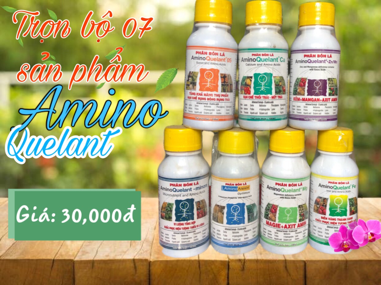 BỘ 07 SẢN PHẨM AMINO QUELANT TỐT CHO CÂY TRỒNG-100ml