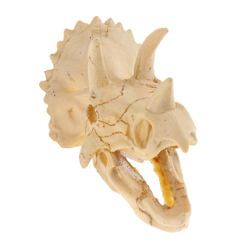 Reptile Vivarium Decoration Terrarium DIY Landscaping Skull