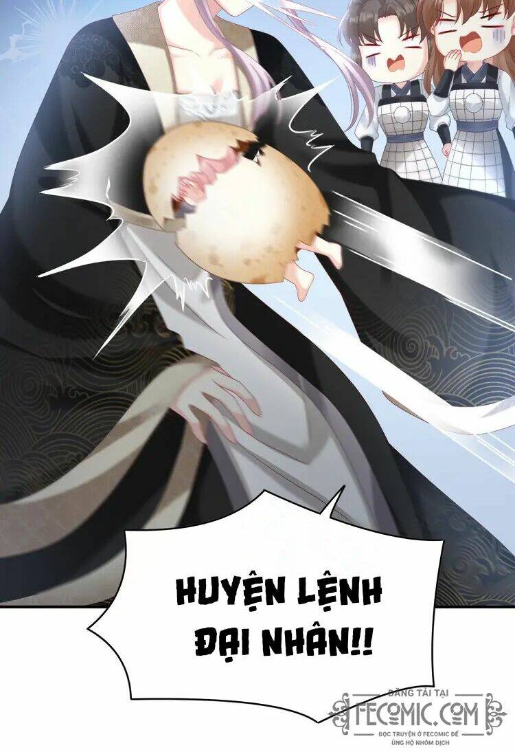 kiều phu có hỉ chapter 62 17