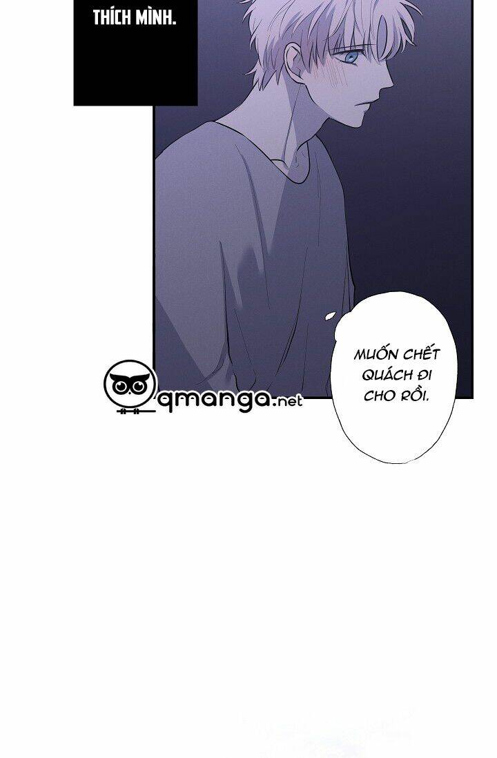 trốn tìm chapter 19 38