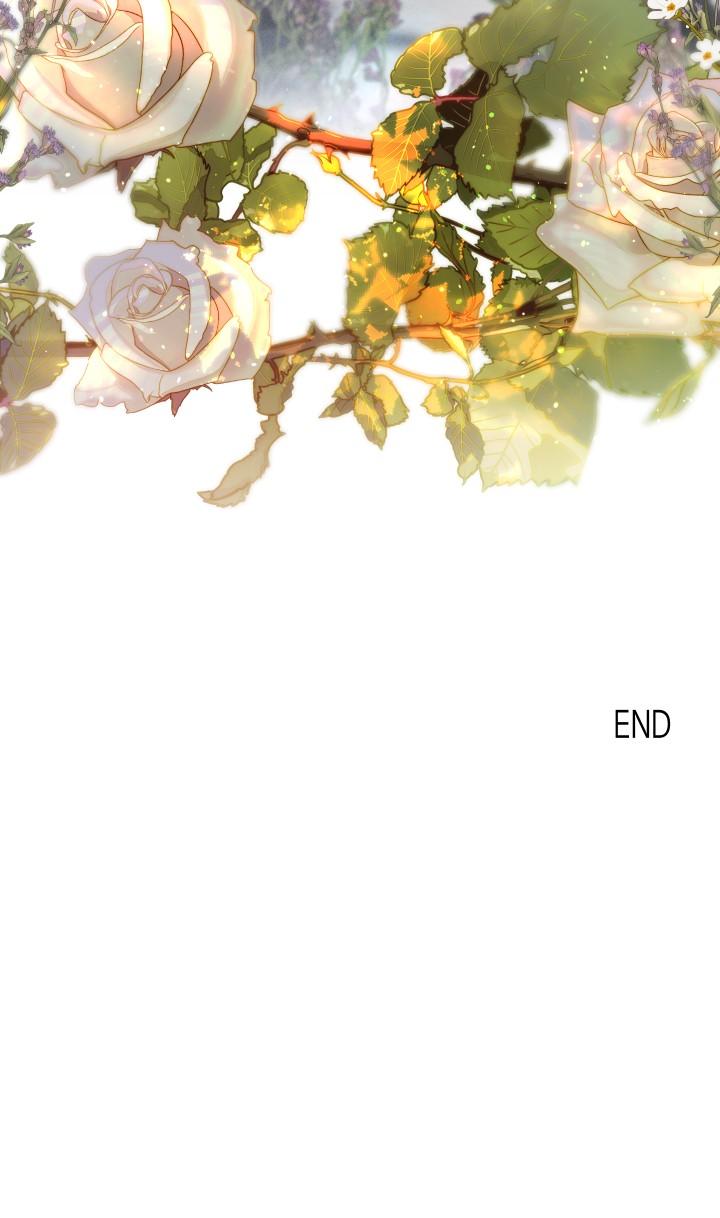 khu vườn hoa lavender chapter 7 21